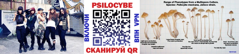 Псилоцибиновые грибы GOLDEN TEACHER shop Telegram Мончегорск