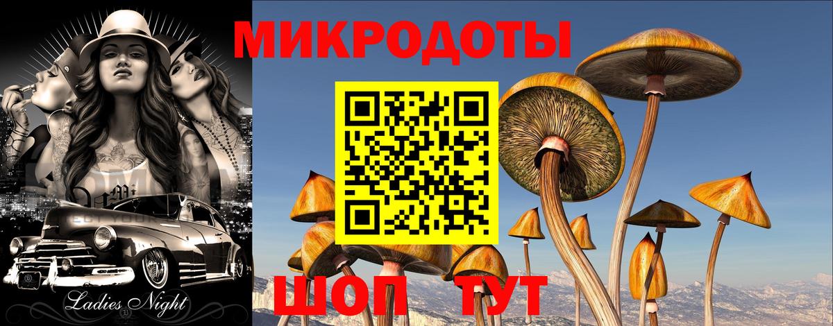 Галлюциногенные грибы Magic Shrooms Мончегорск