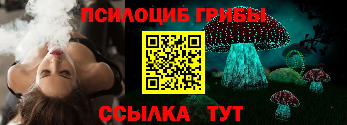 Мончегорск  Псилоцибиновые грибы Psilocybine cubensis  Вход с VPN  Псилоцибиновые грибы GOLDEN TEACHER 